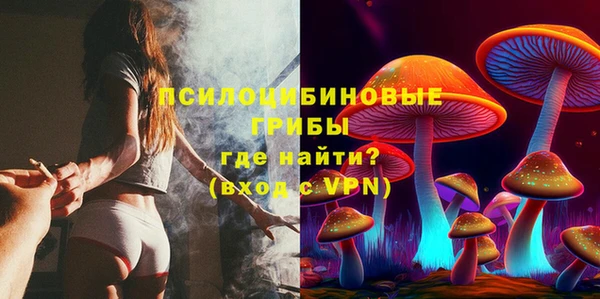 МДПВ Алзамай