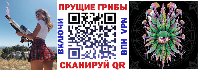 как найти закладки  Гусь-Хрустальный  Галлюциногенные грибы прущие грибы 